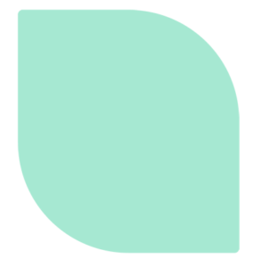 bilgibi-logo-iconp1.png