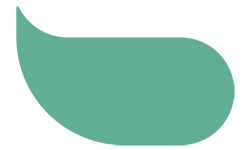 bilgibi-logo-iconp3.png